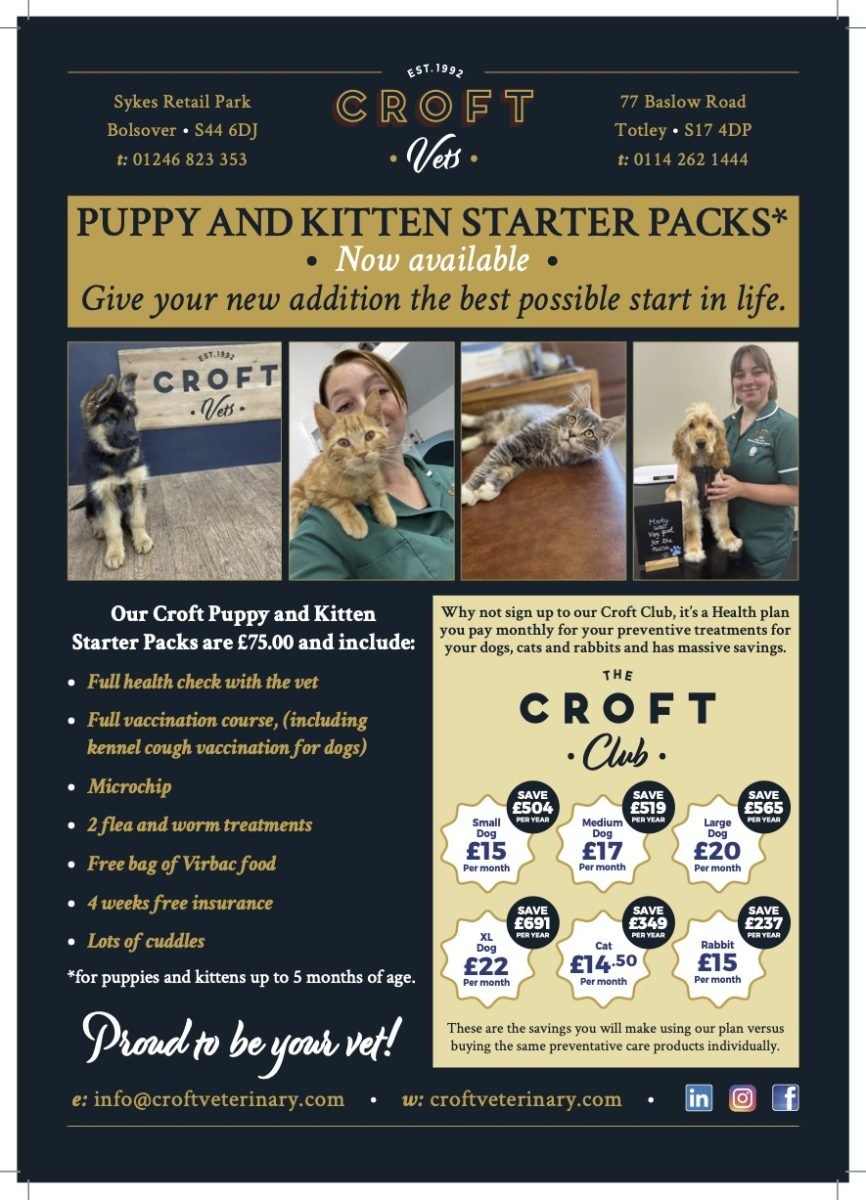A4 Puppy Kitten Pack advert 2023HR