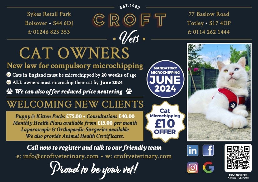 Cat Microchipping SM advert final