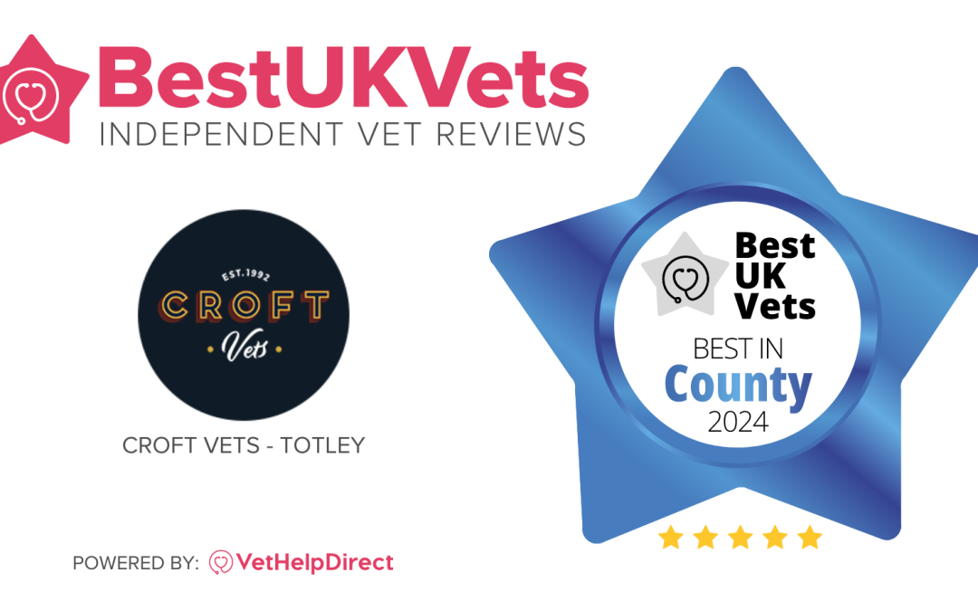 Croft Vets Sheffield  given accolade at BestUKVets Awards 2024