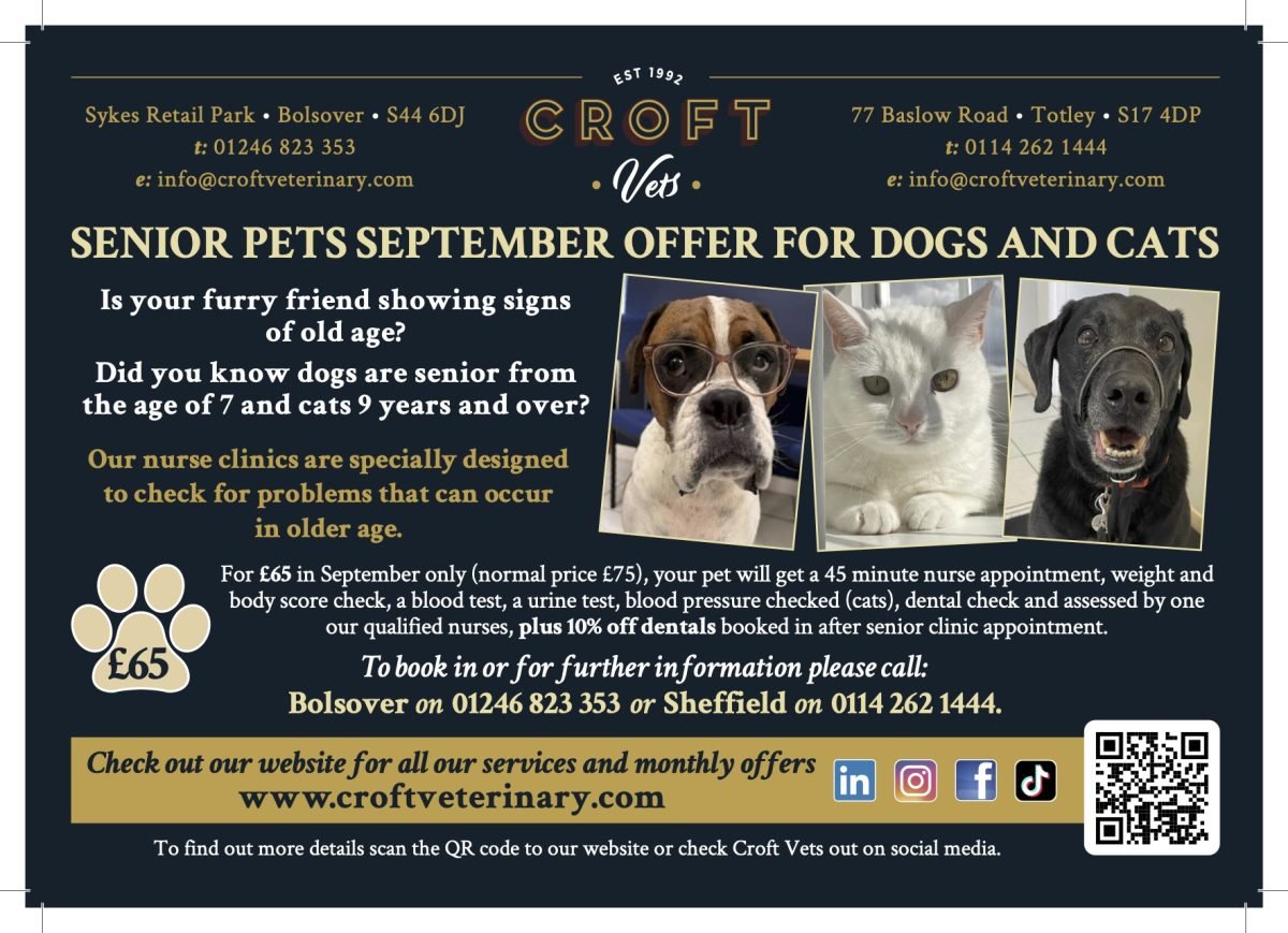 Senior Pets Sept A5 lndscpeHR