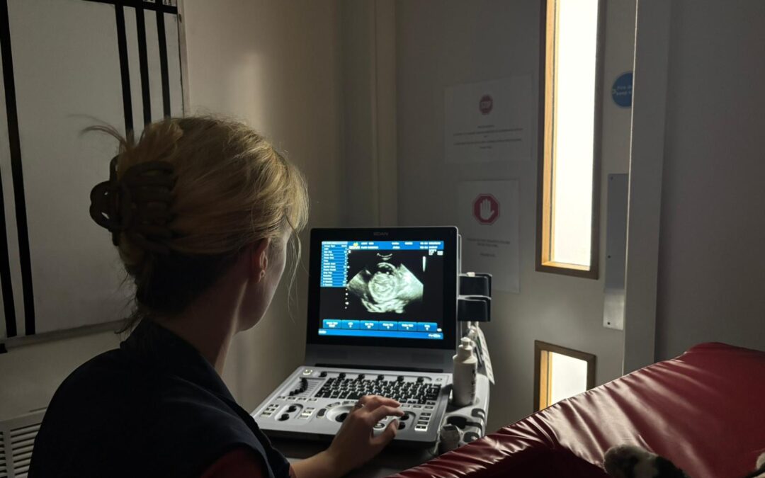 Ultrasound
